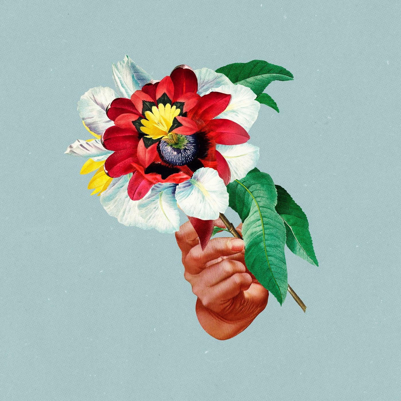 Vale cover