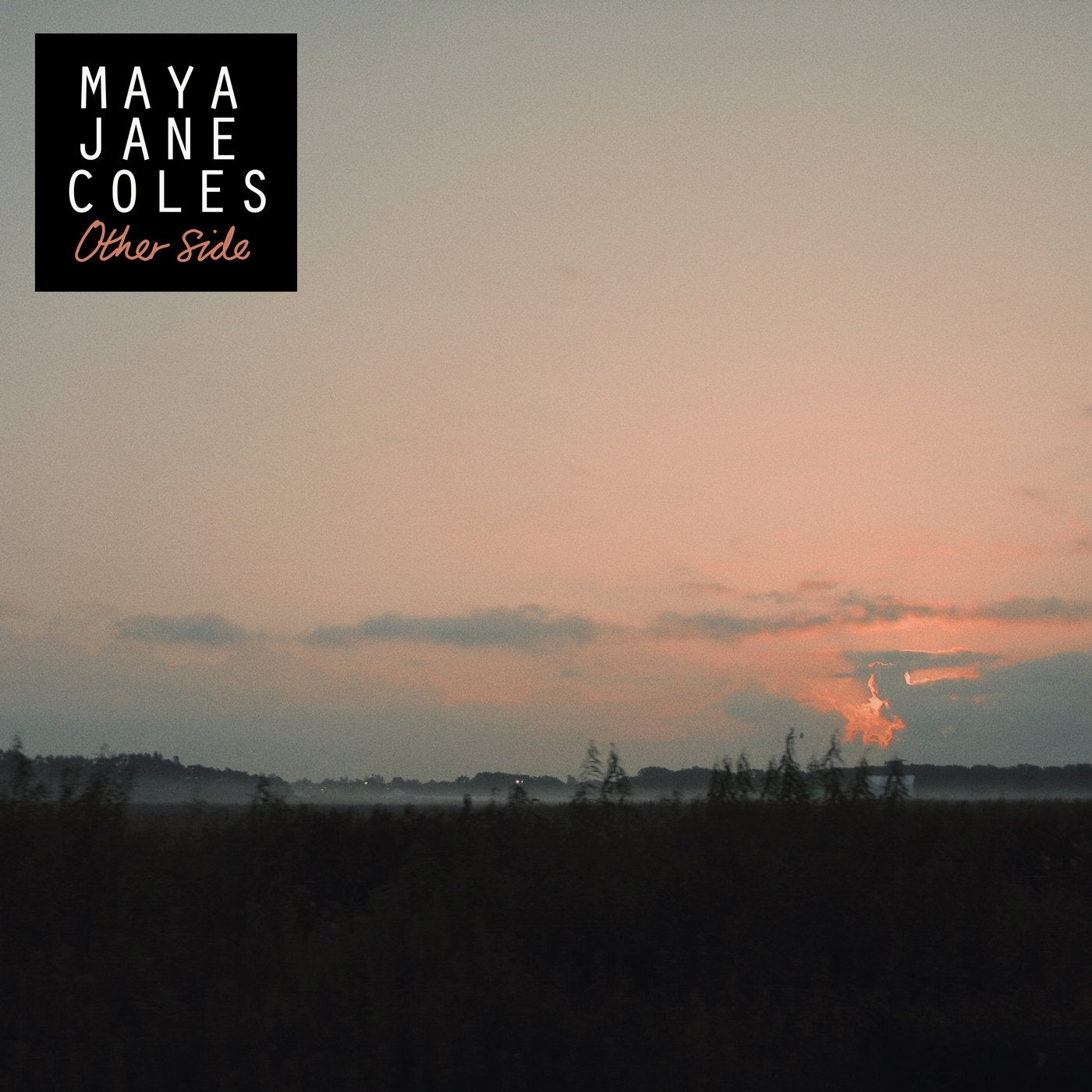 Other Side cover