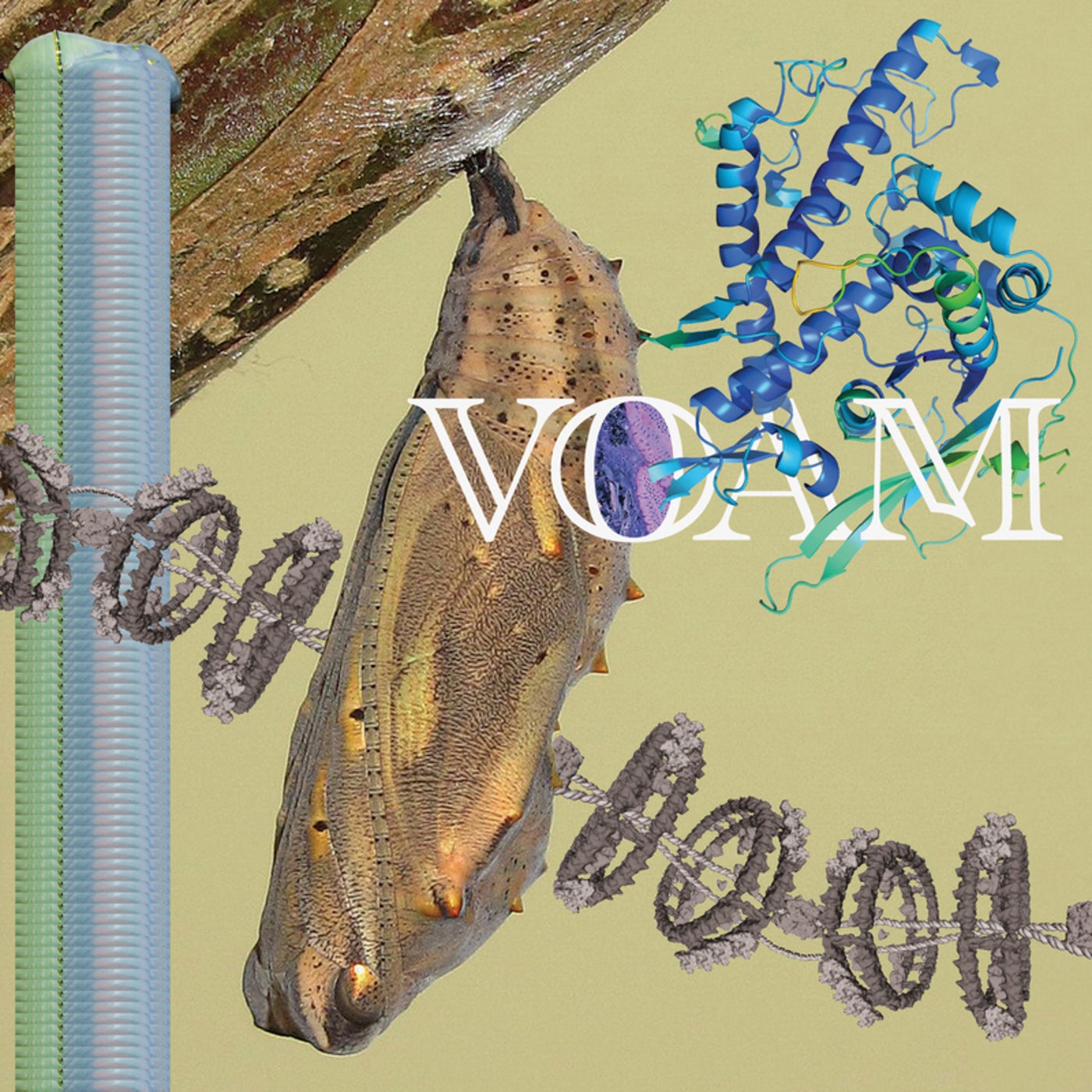 Caterpillar cover
