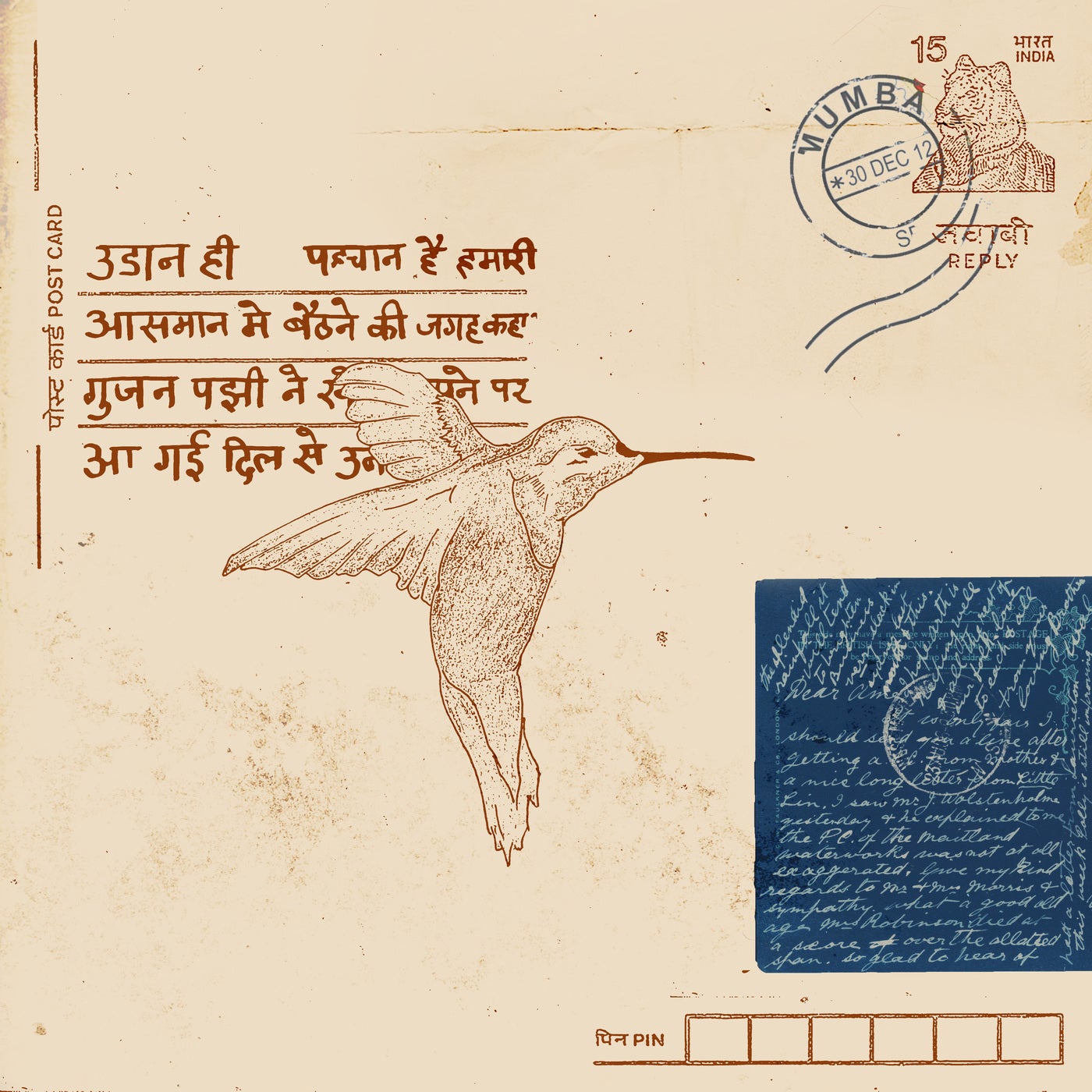 Hummingbird cover