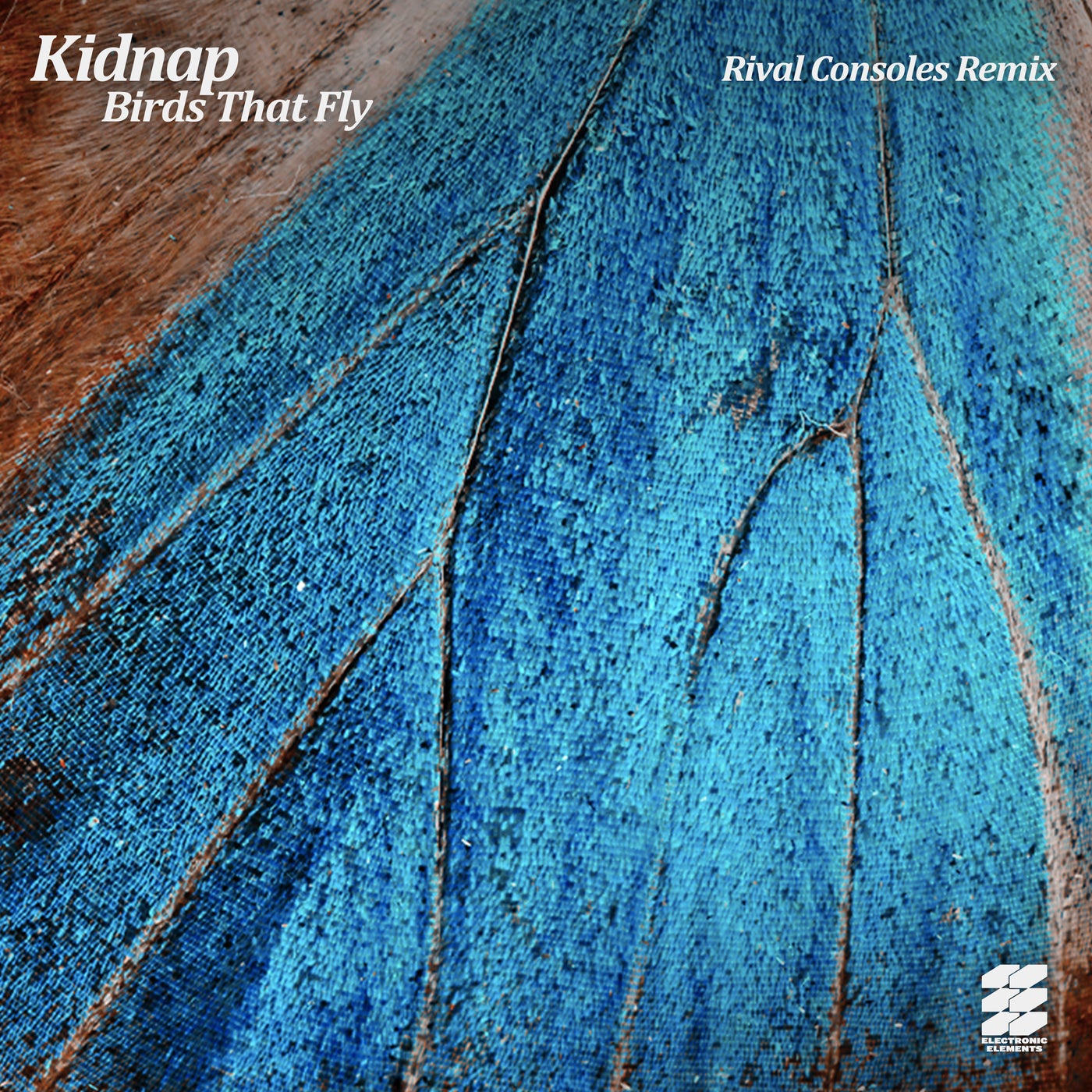 Birds That Fly (Rival Consoles Remix) cover