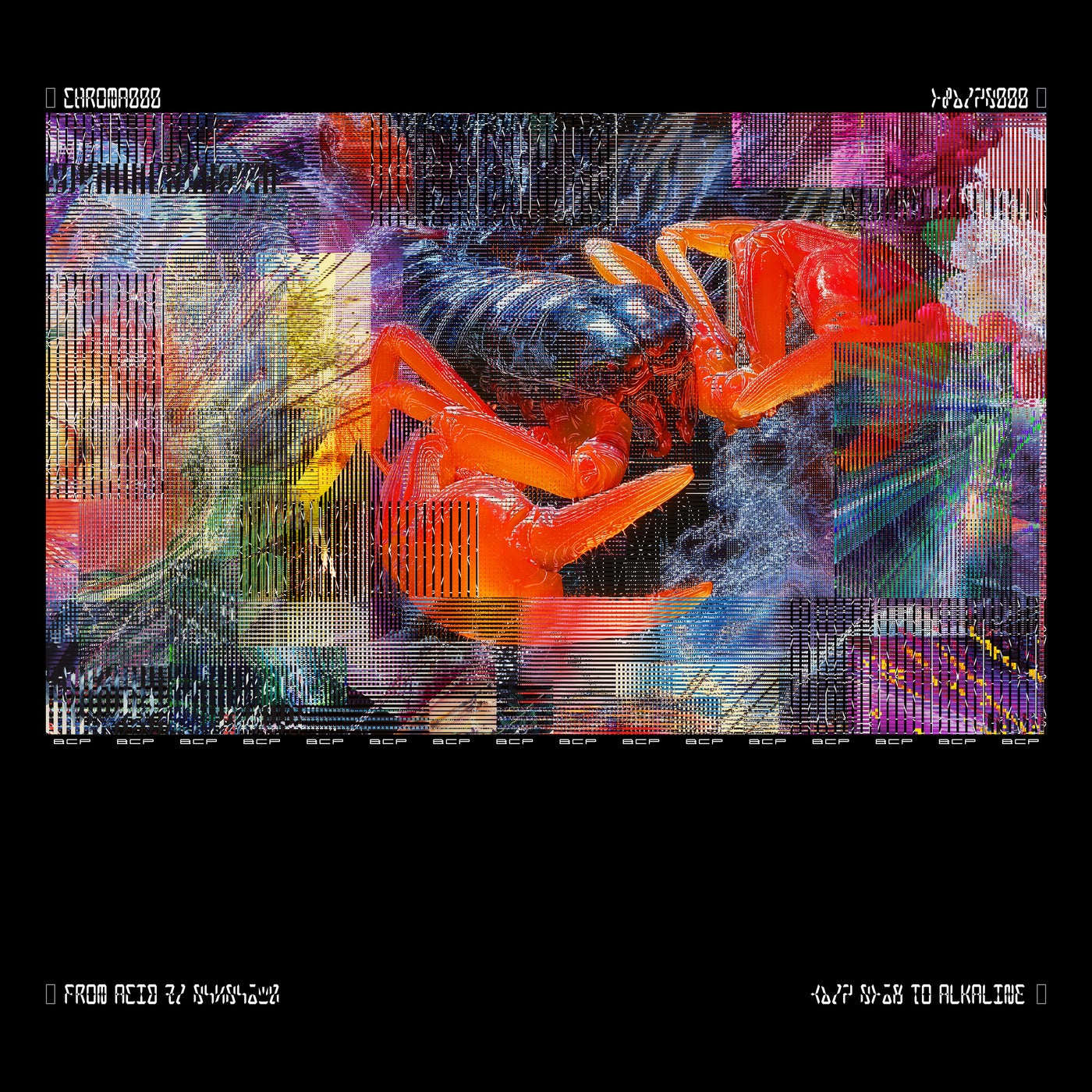 CHROMA 010 BRILLO cover